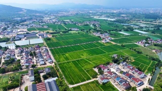 十大老品牌网赌网址大全